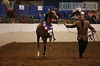 08r12_4704 proof