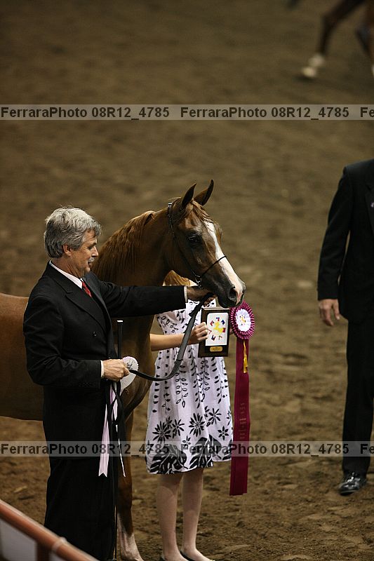 Proof 08r12_4785