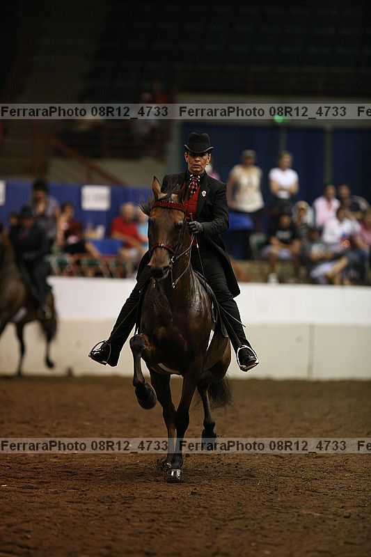 Proof 08r12_4733