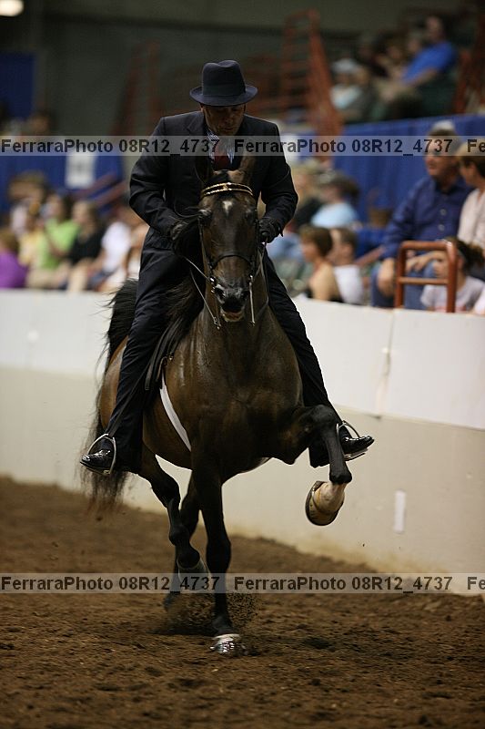 Proof 08r12_4737