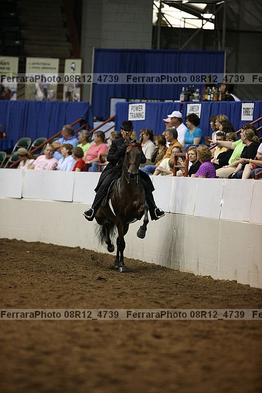 Proof 08r12_4739