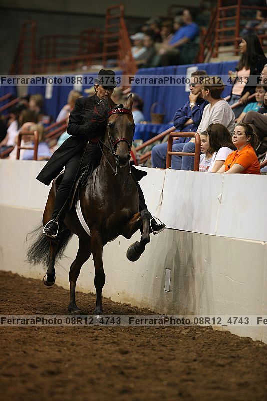 Proof 08r12_4743