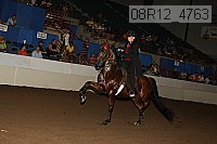 08r12_4763 proof
