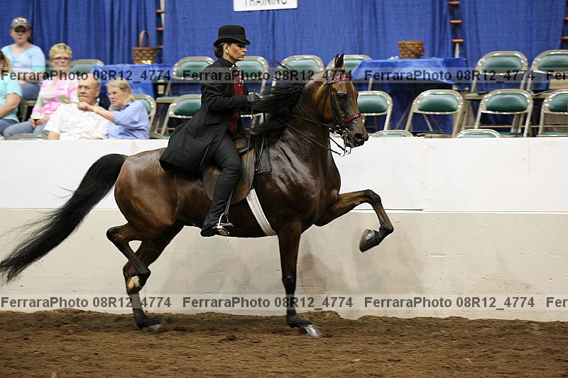 Proof 08r12_4774