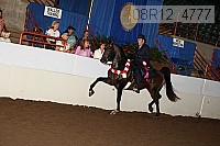 08r12_4777 proof