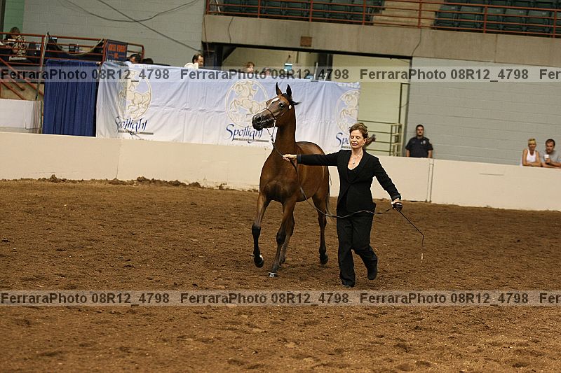 Proof 08r12_4798