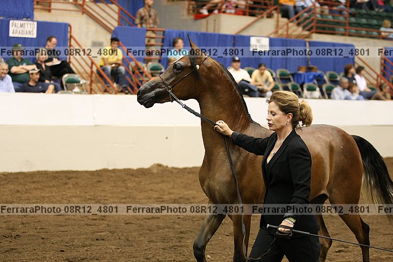 Proof 08r12_4801