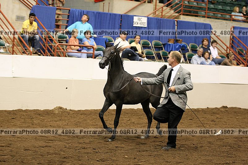 Proof 08r12_4802