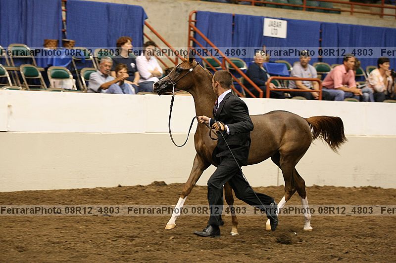 Proof 08r12_4803