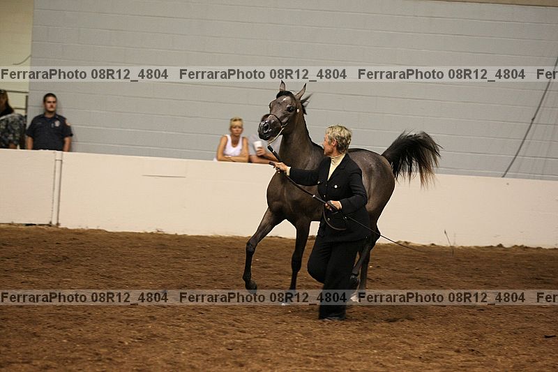Proof 08r12_4804