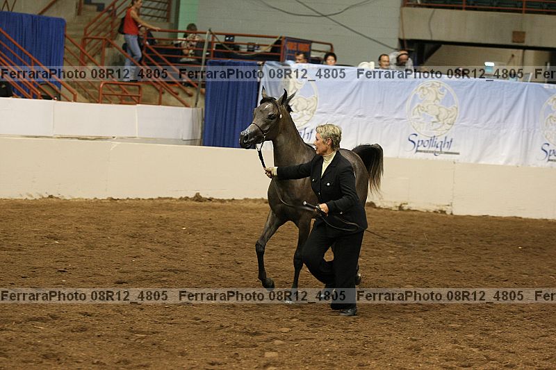 Proof 08r12_4805