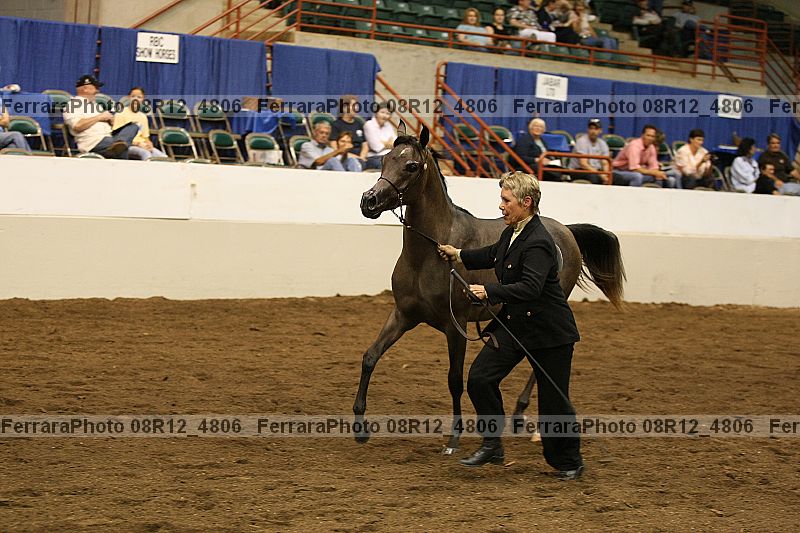 Proof 08r12_4806