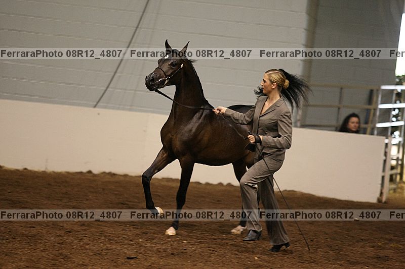Proof 08r12_4807