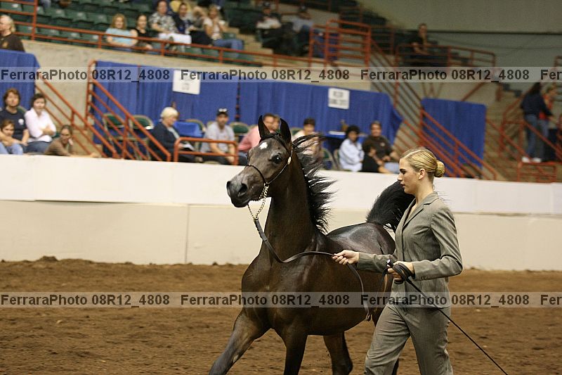 Proof 08r12_4808
