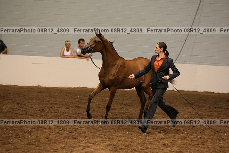 Proof 08r12_4809