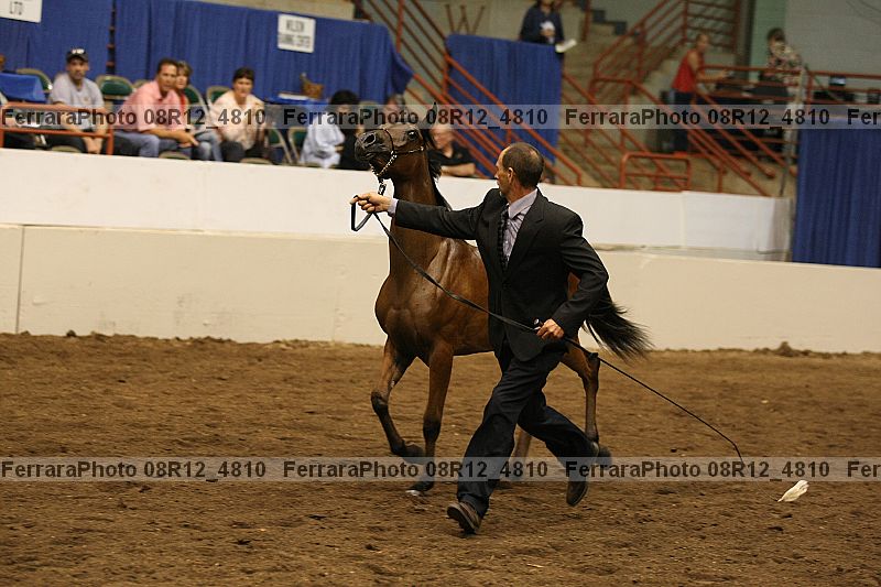 Proof 08r12_4810