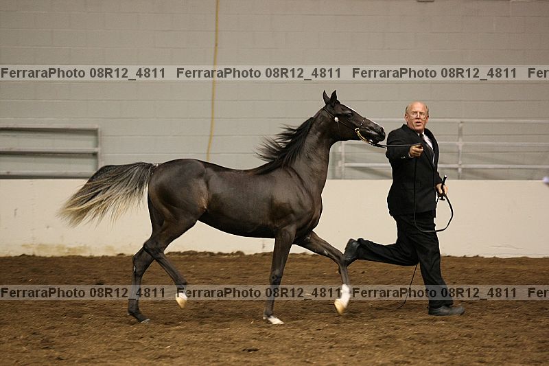 Proof 08r12_4811
