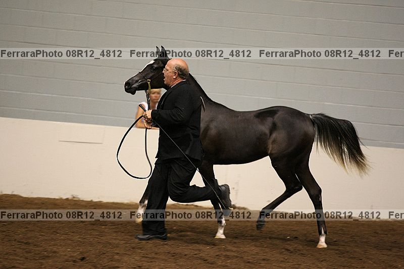 Proof 08r12_4812