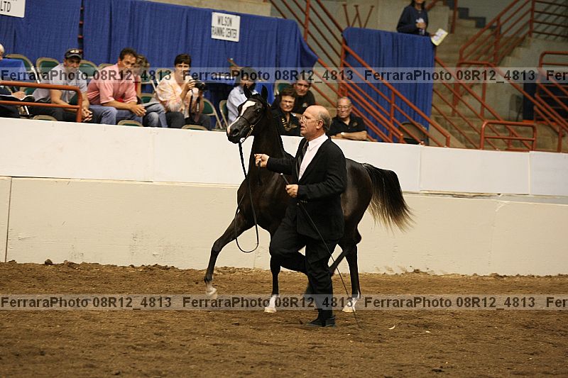Proof 08r12_4813