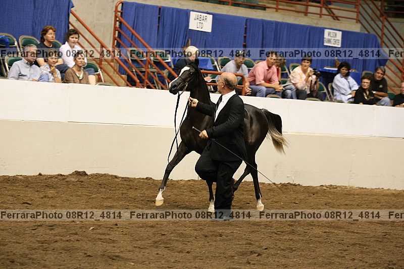 Proof 08r12_4814