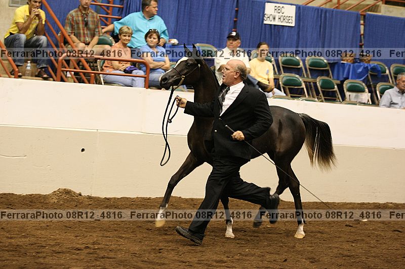 Proof 08r12_4816