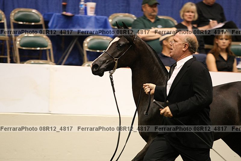 Proof 08r12_4817