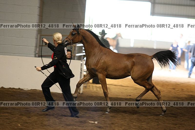 Proof 08r12_4818