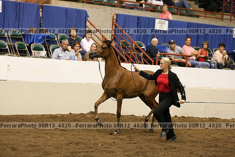 Proof 08r12_4820
