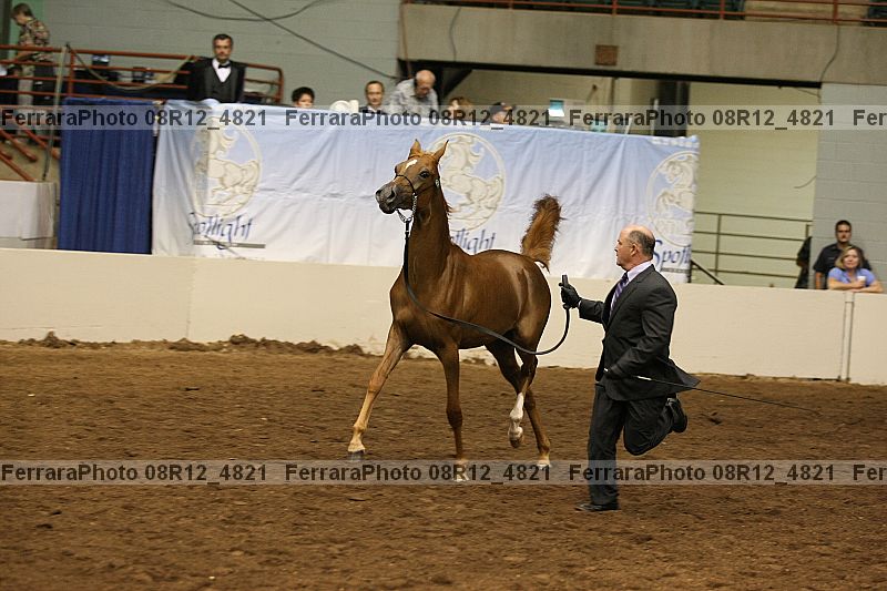 Proof 08r12_4821
