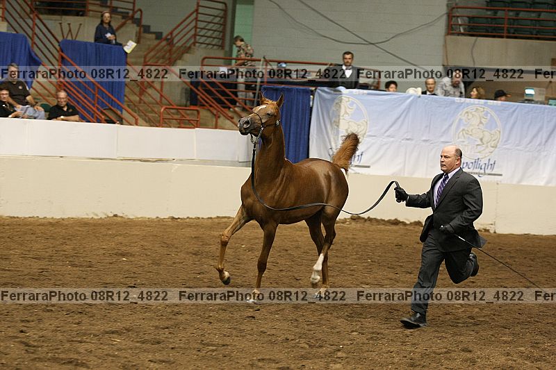 Proof 08r12_4822