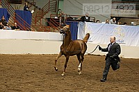 08r12_4822 proof