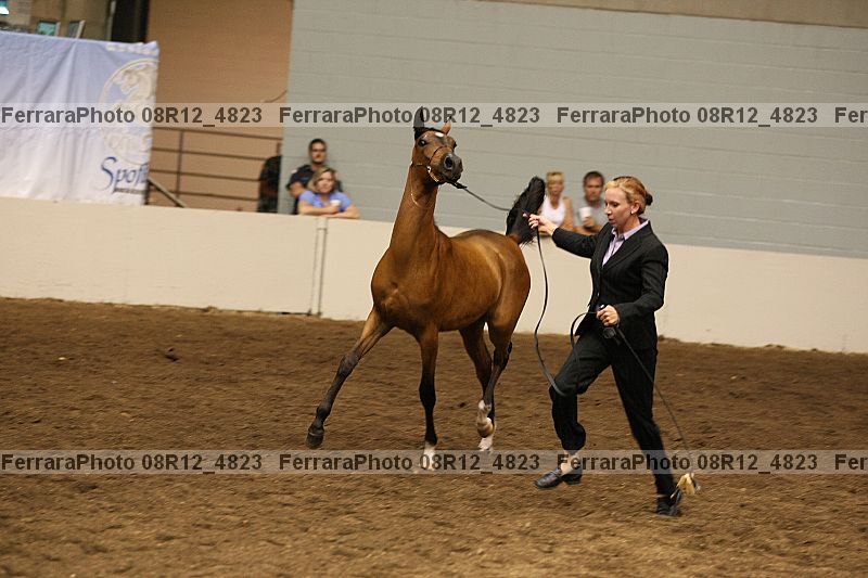 Proof 08r12_4823