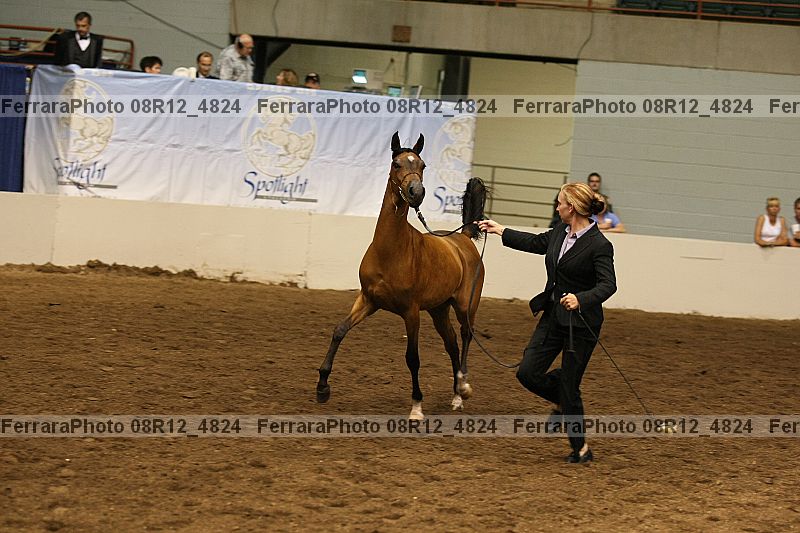 Proof 08r12_4824