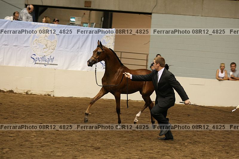 Proof 08r12_4825