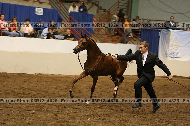 Proof 08r12_4826