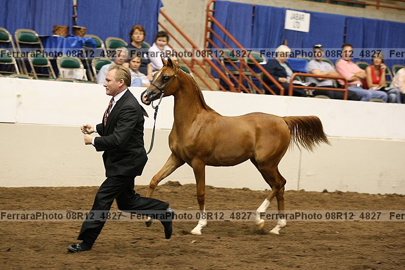 Proof 08r12_4827