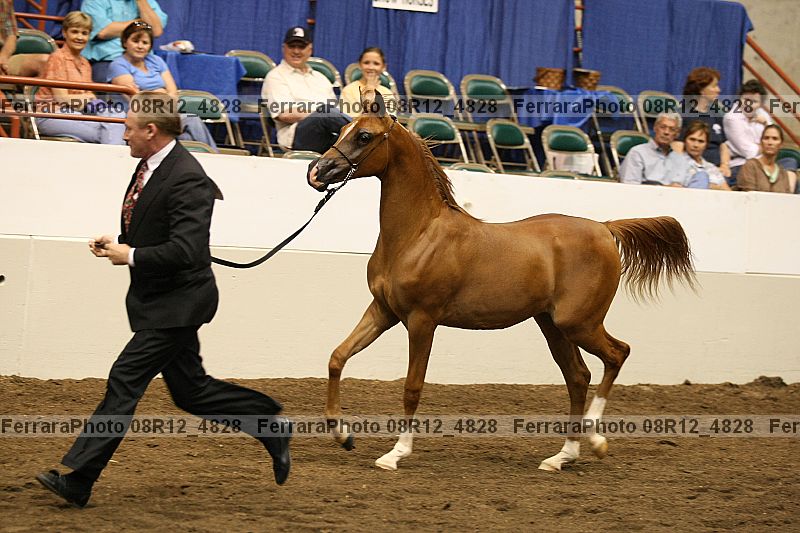 Proof 08r12_4828