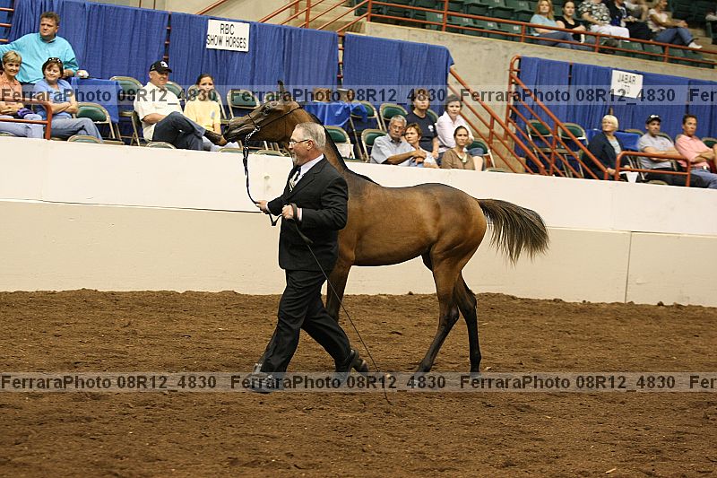 Proof 08r12_4830