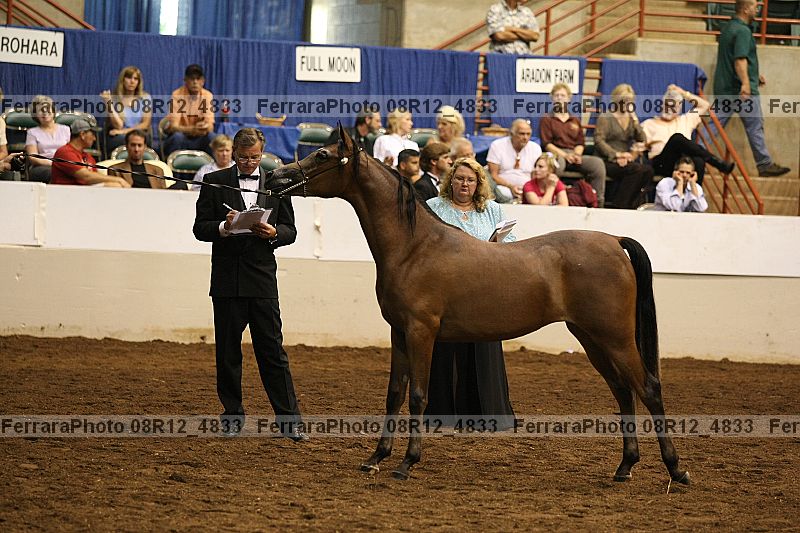 Proof 08r12_4833