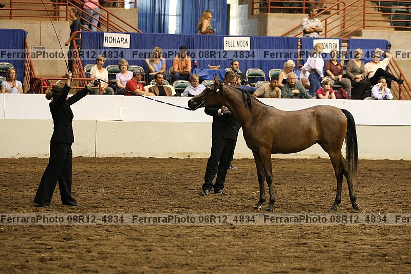 Proof 08r12_4834