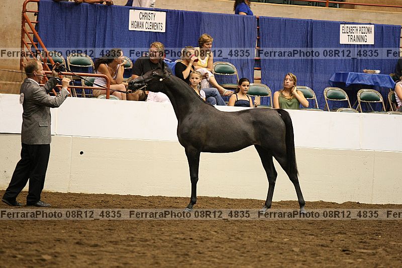 Proof 08r12_4835