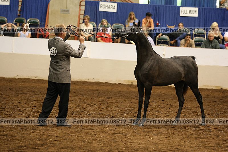 Proof 08r12_4837