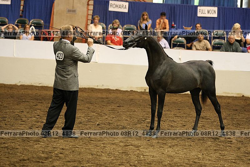 Proof 08r12_4838