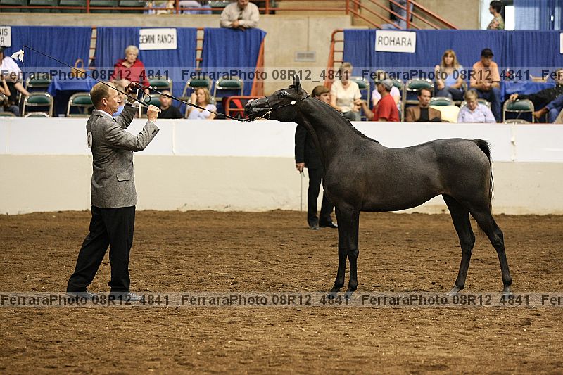 Proof 08r12_4841