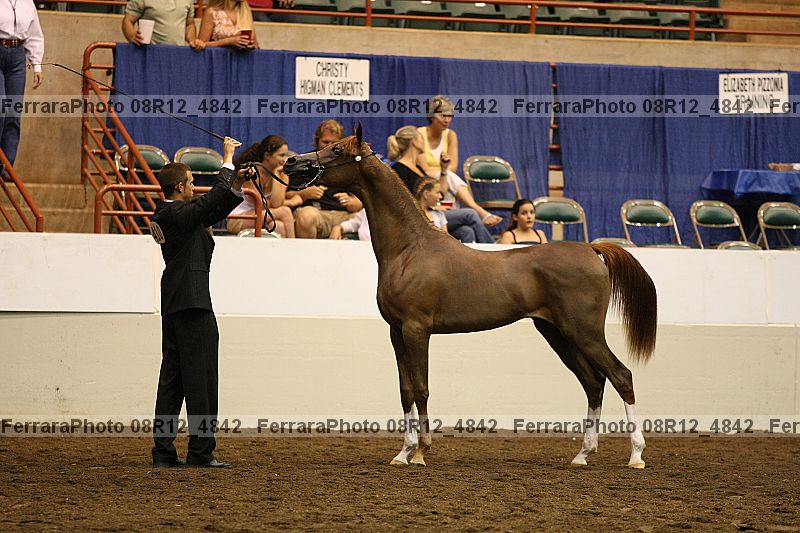 Proof 08r12_4842