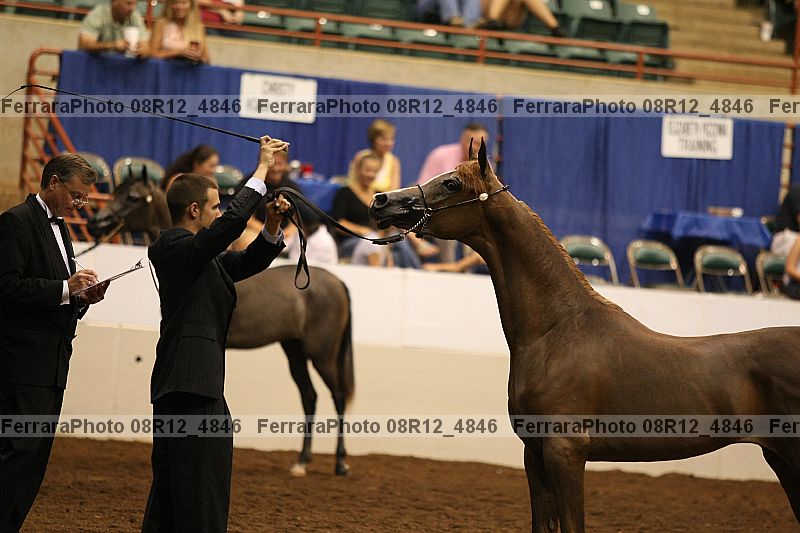 Proof 08r12_4846