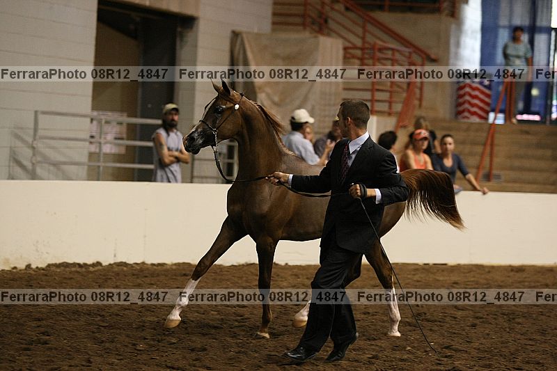 Proof 08r12_4847
