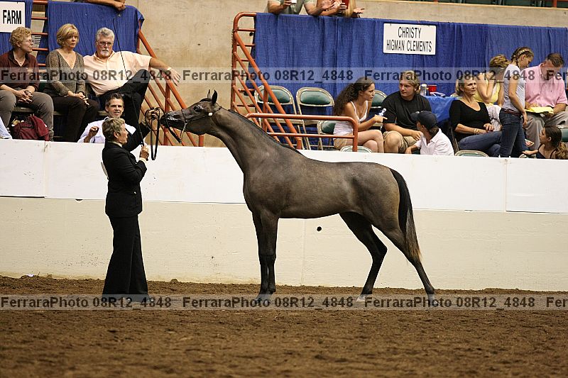 Proof 08r12_4848