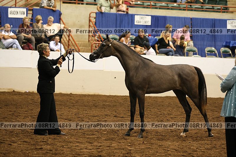 Proof 08r12_4849