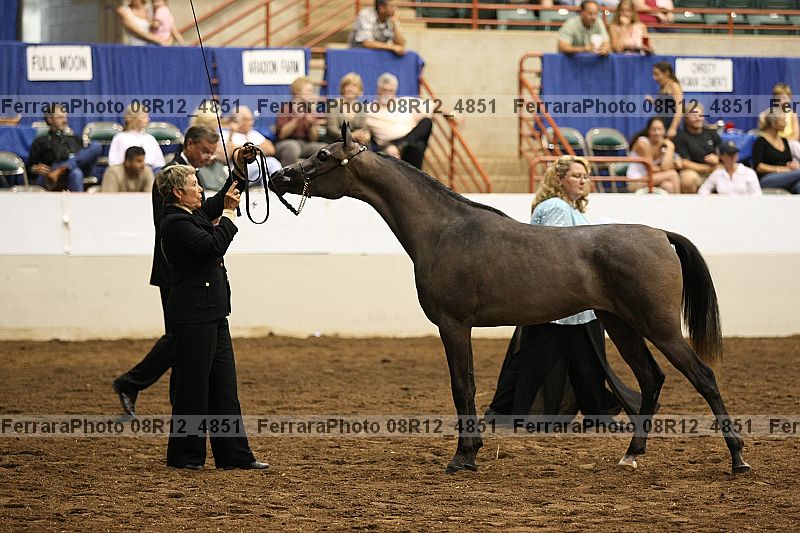 Proof 08r12_4851